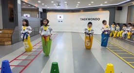 HTS현대태권도