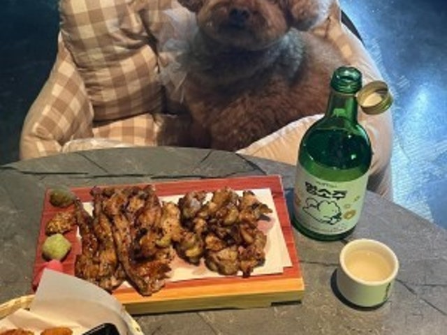 술록 평택점