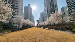 단지내황금공인중개사사무소