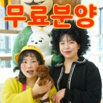 대구강아지분양 테디럽
