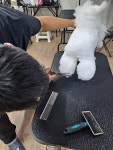 논산애견미용학원