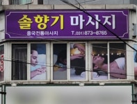 솔향기