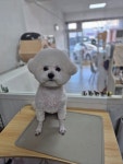 멍미용