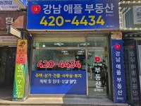 강남애플부동산중개법인