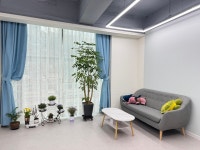 조이심리상담연구소