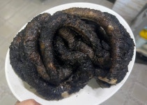 동해곰장어나라