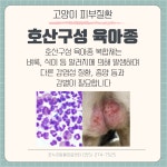 온누리동물의료센터