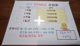 스카이 휘트니스