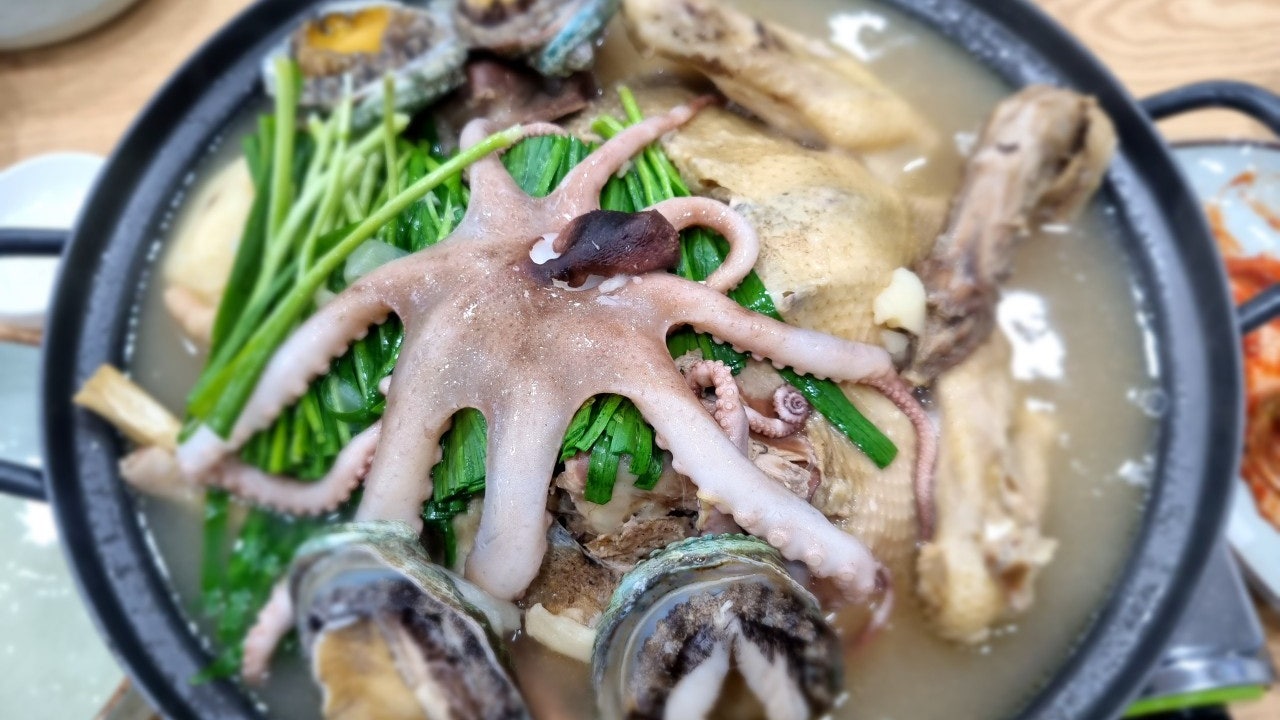 명자나무