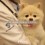 울산에스동물메디컬센터
