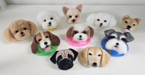 어도러블펫펠트