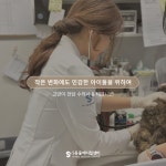 울산에스동물메디컬센터