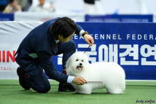 어썸테일즈