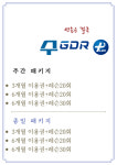 GDR 수 아카데미