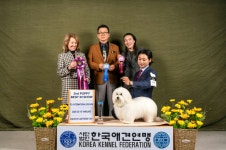 어썸테일즈