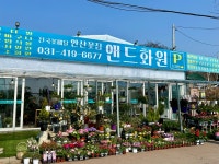 안산꽃집 앤드화원