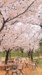 이숲