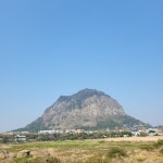 사우스사계 제주