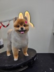 룽지 살롱