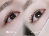 미모다뷰티둔산 | 미모다뷰티 노은점