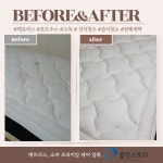 클린스토리