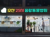 오산25시종합동물병원