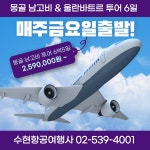 수현항공여행사