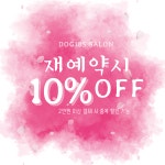 도그185 애견미용실