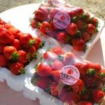 이성돈딸기농장