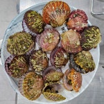 진보양푼이물회섭국