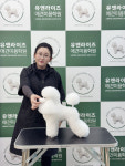 유앤라이즈애견미용학원