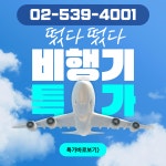 수현항공여행사