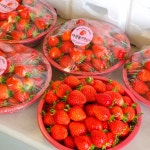 이성돈딸기농장