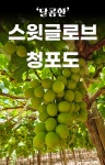 소도몰 탄현푸르지오점