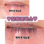 메이든뷰티