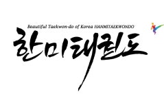 한미태권도