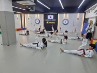 인성효 박사 태권도장