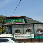 매월애