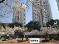 동일하이빌어린이집