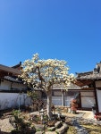 경주민박 휴원