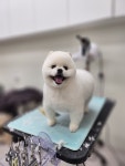 와와살롱
