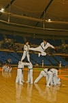 인성효 박사 태권도장