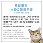 묘리깡