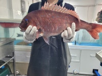 오공수산
