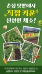촌집