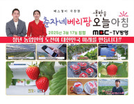 춘자네 베리팜