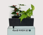 비케이팜