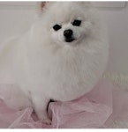 스타멍스