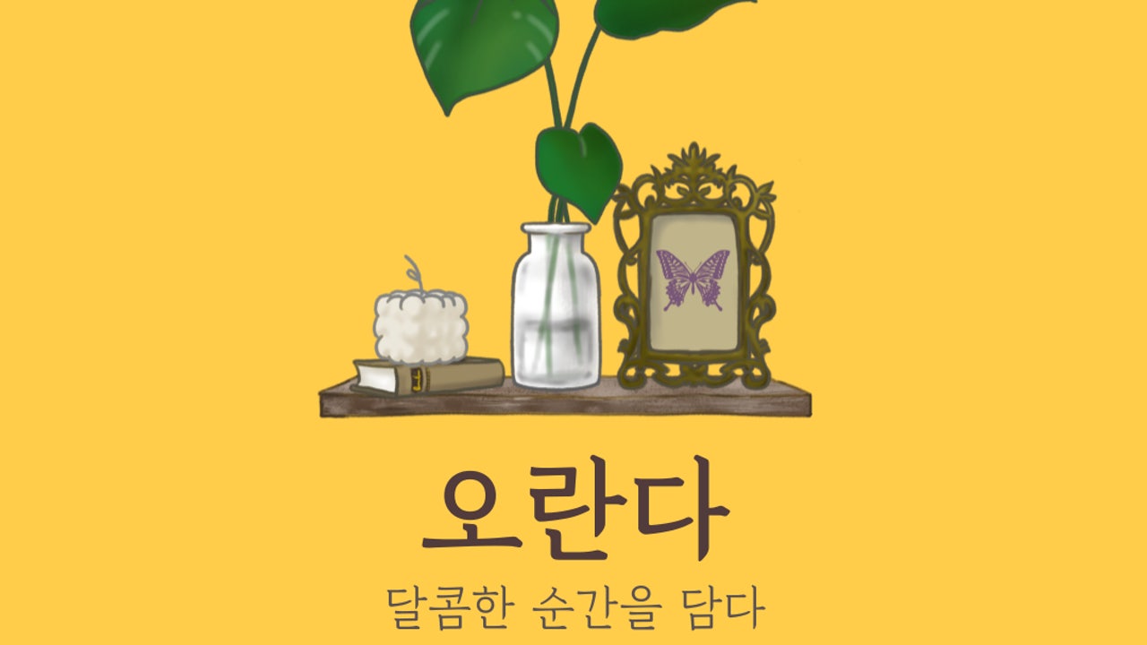 오란다카페