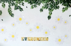 에버그린몬테소리어린이집